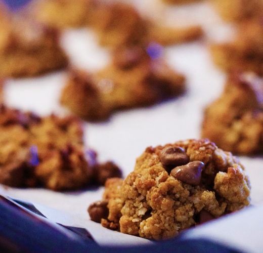 chocolate chip oatmeal cookies