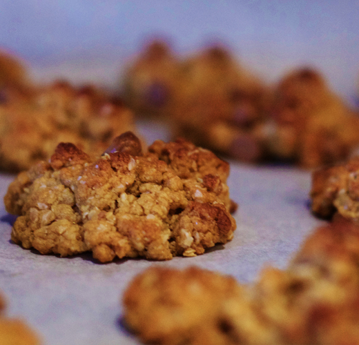 chocolate chip oatmeal cookies3