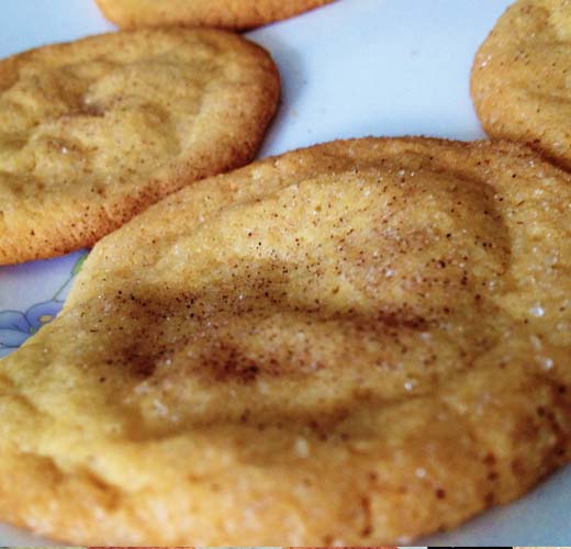 snickerdoodles2