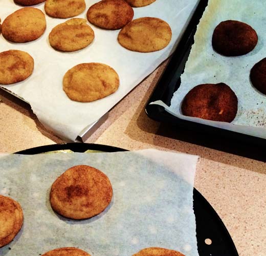 snickerdoodles3