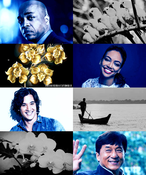 Three Golden Flowers